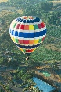 SonomaVineyards